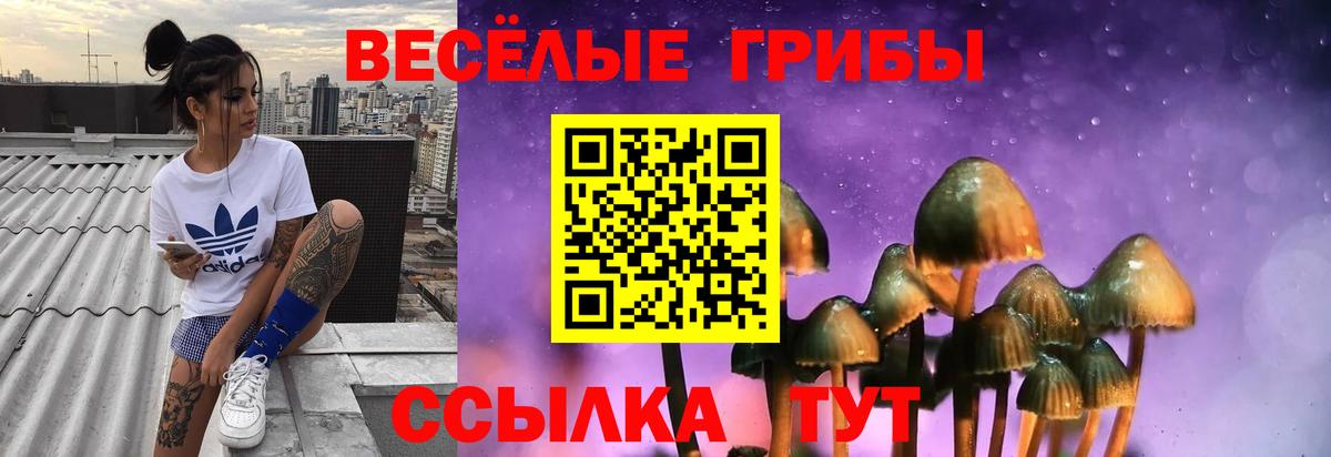 Псилоцибиновые грибы прущие грибы Сатка