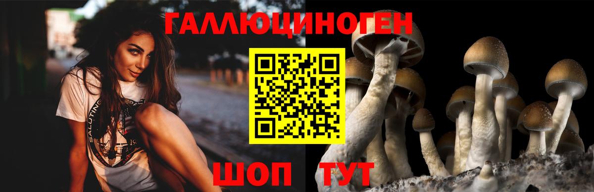 Псилоцибиновые грибы Psilocybe  Вход с VPN  Сатка 